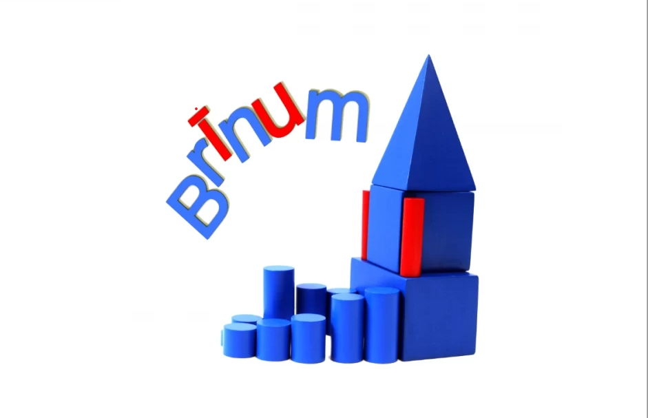 Sabiedriskā labuma organizācija “Brīnummāja”